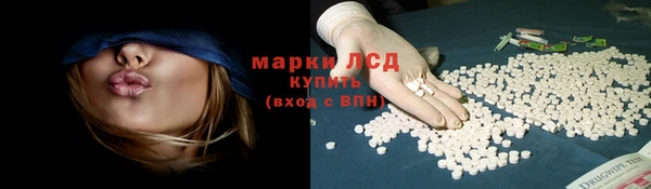 apvp Алзамай
