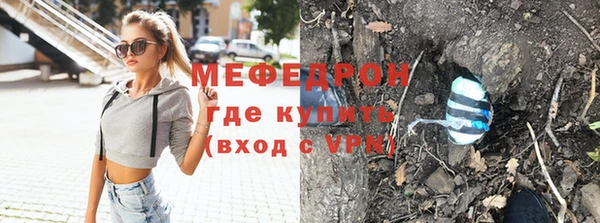 индика Осташков