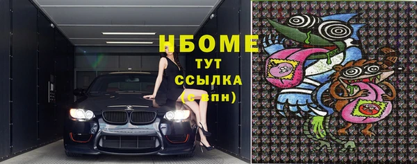 дмт Пересвет