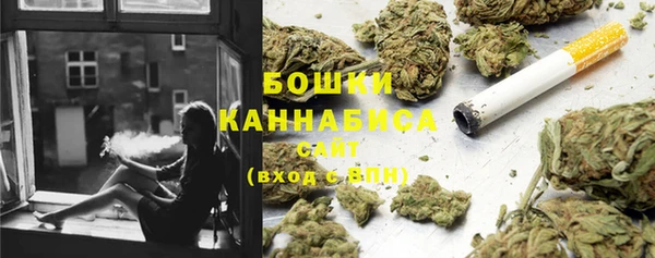 apvp Алзамай