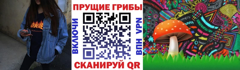 наркота  Родники  Галлюциногенные грибы ЛСД 
