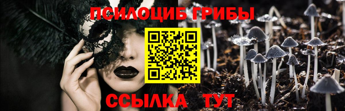 Псилоцибиновые грибы Psilocybine cubensis Родники